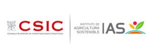 CSIC-1024x379